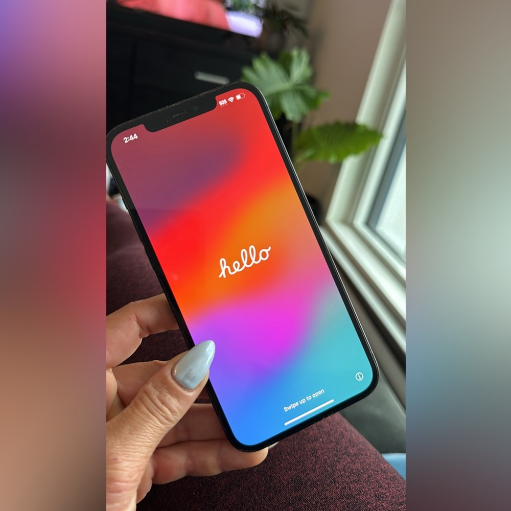 Apple iPhone 12 Pro Max